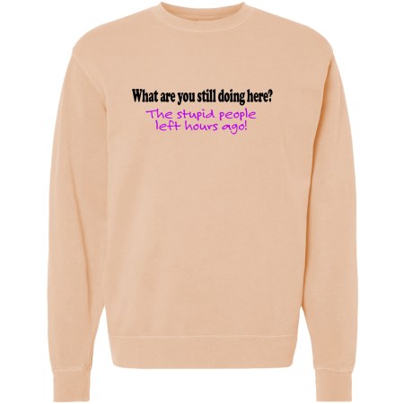 Unisex Pigment Dyed Crew Neck - Stupid People